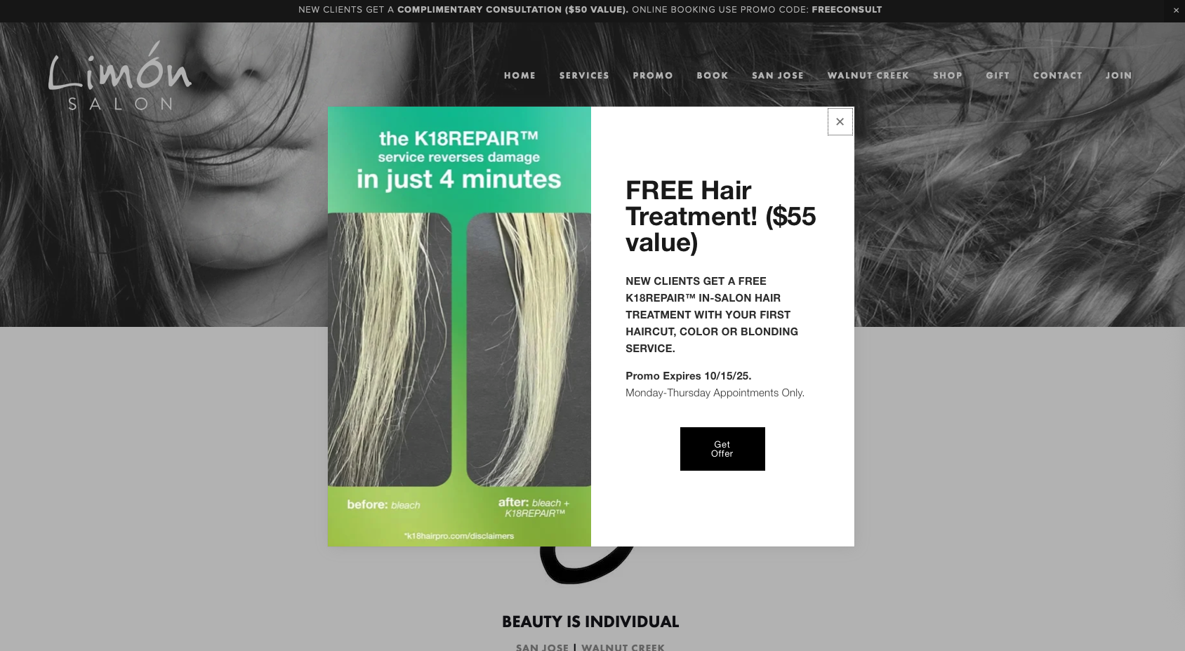 Limón Salon Website
