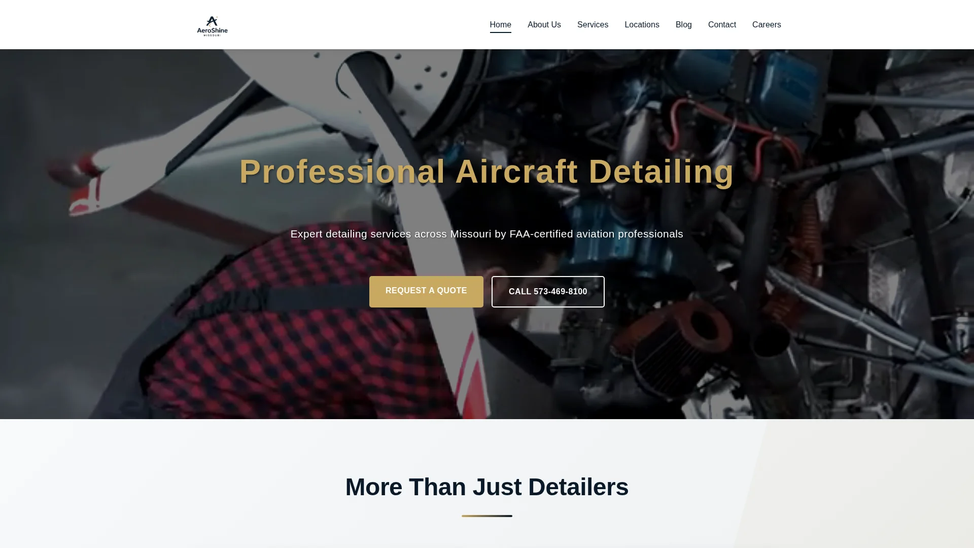 Aeroshinemo website