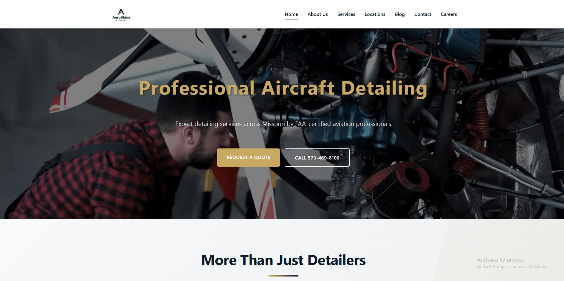 Professional aircraft detailing service website
